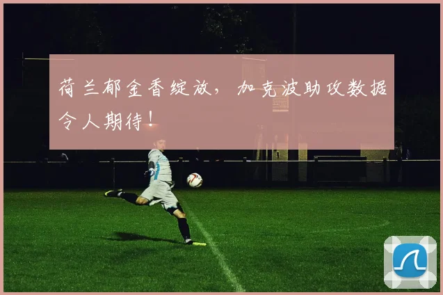 荷兰郁金香绽放,加克波助攻数据令人期待!