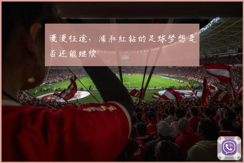 漫漫征途,浦和红钻的足球梦想是否还能继续
