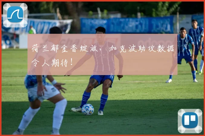 荷兰郁金香绽放，加克波助攻数据令人期待！