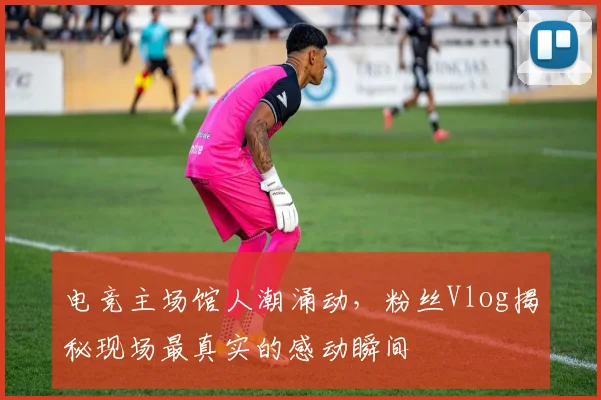 电竞主场馆人潮涌动,粉丝Vlog揭秘现场最真实的感动瞬间